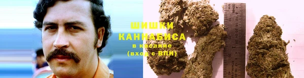 ешки Белокуриха