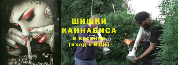 ешки Белокуриха